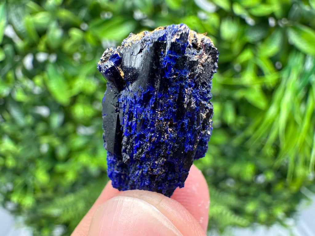 Crystallized Azurite-Kerrouchen,Morocco-Blue Azurite Specimen-High Quality Blue Azurite-Azurite Mineral Specimen, gemmy,lustrous of Azurite