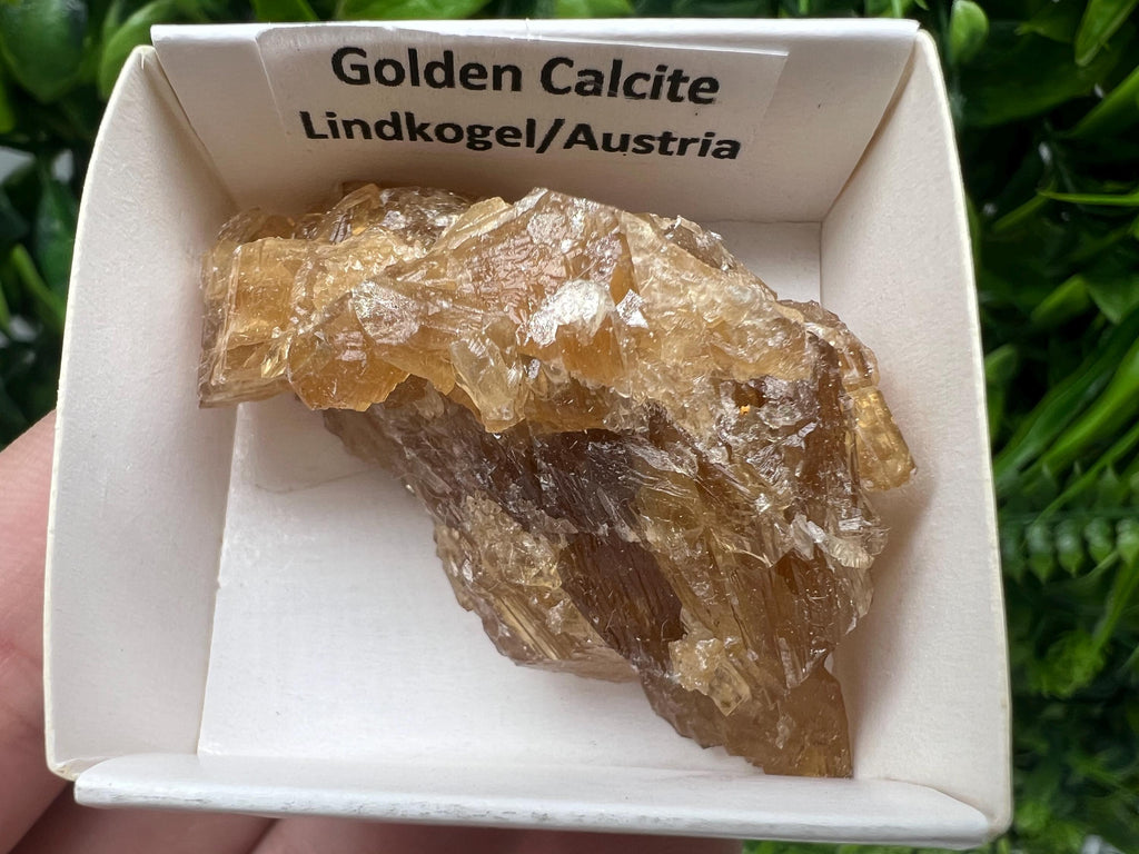 Raw Honey Calcite Stone: Rough Golden Crystal (5/3.5 cm