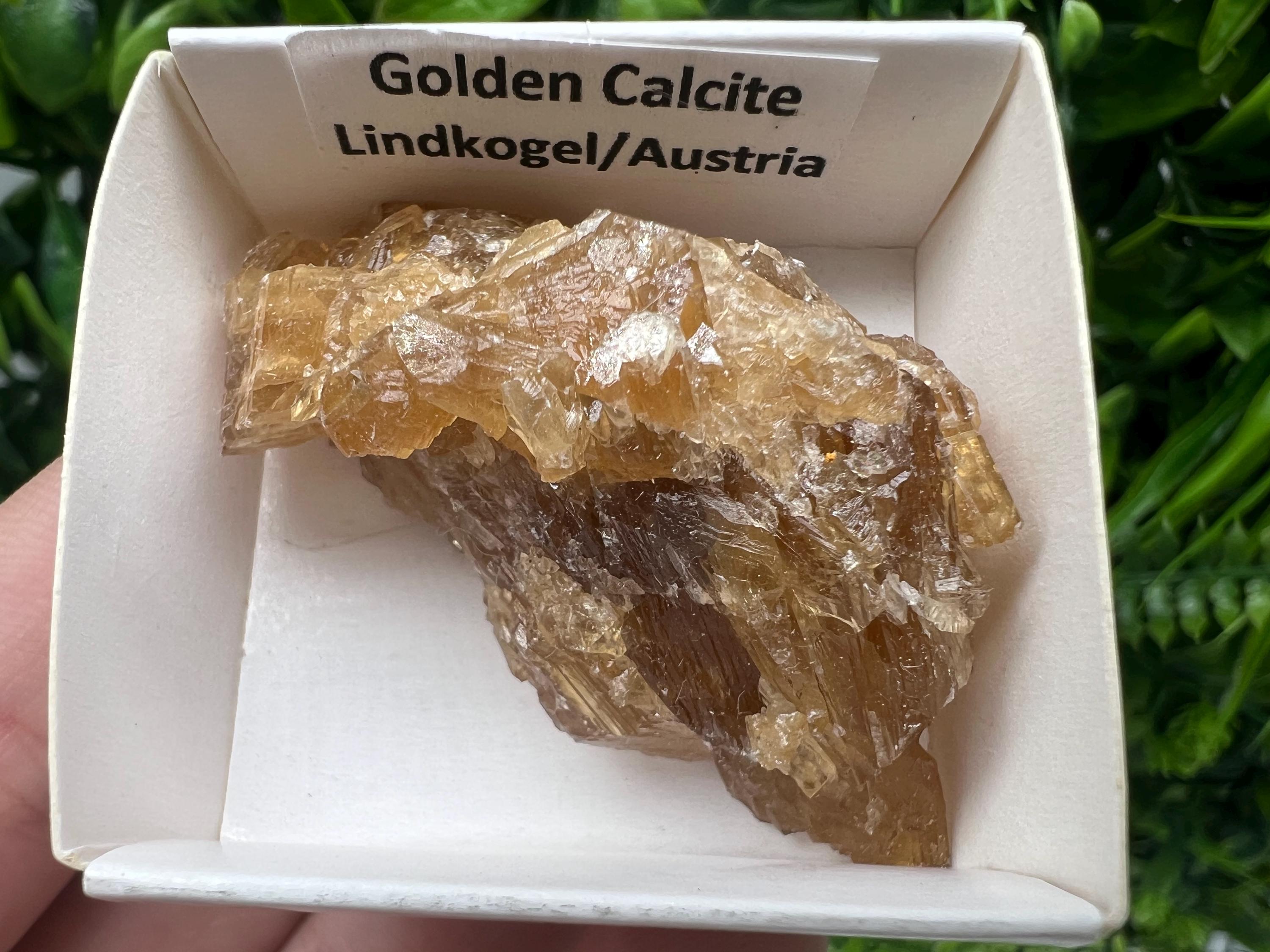 Raw Honey Calcite Stone: Rough Golden Crystal (5/3.5 cm