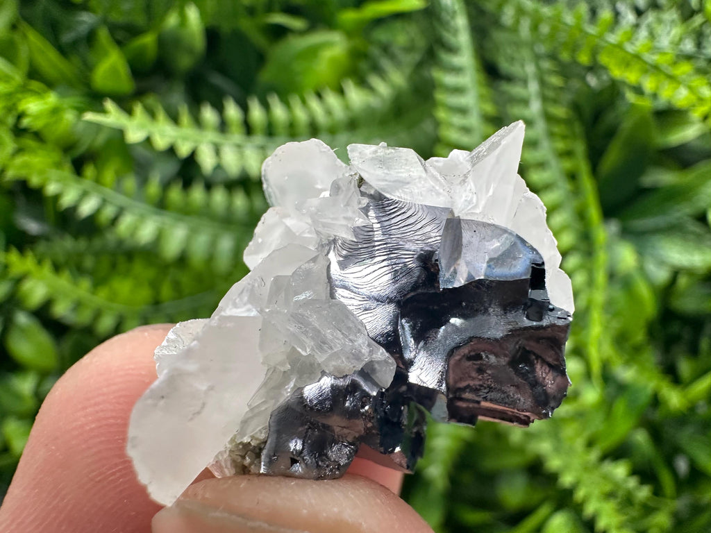 Quartz Galena Calcite Specimen: Borieva Mine, Bulgaria