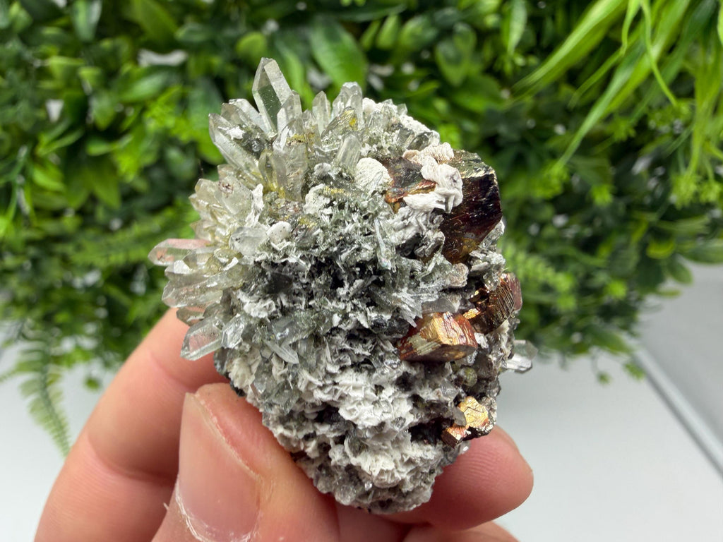 Pyrite Galena on Green Quartz, Chlorite Mineral Specimen, Bulgaria