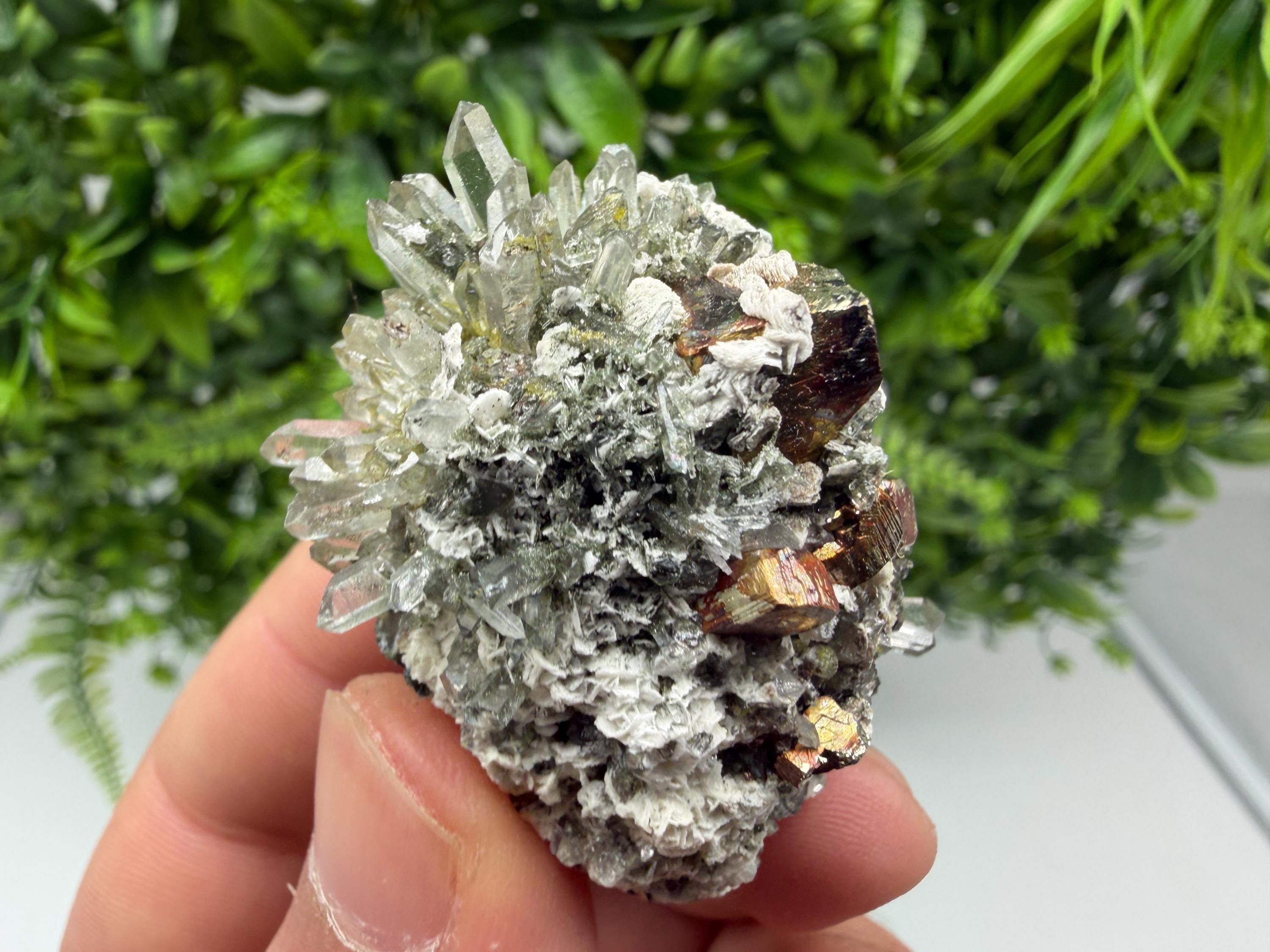 Pyrite Galena on Green Quartz, Chlorite Mineral Specimen, Bulgaria