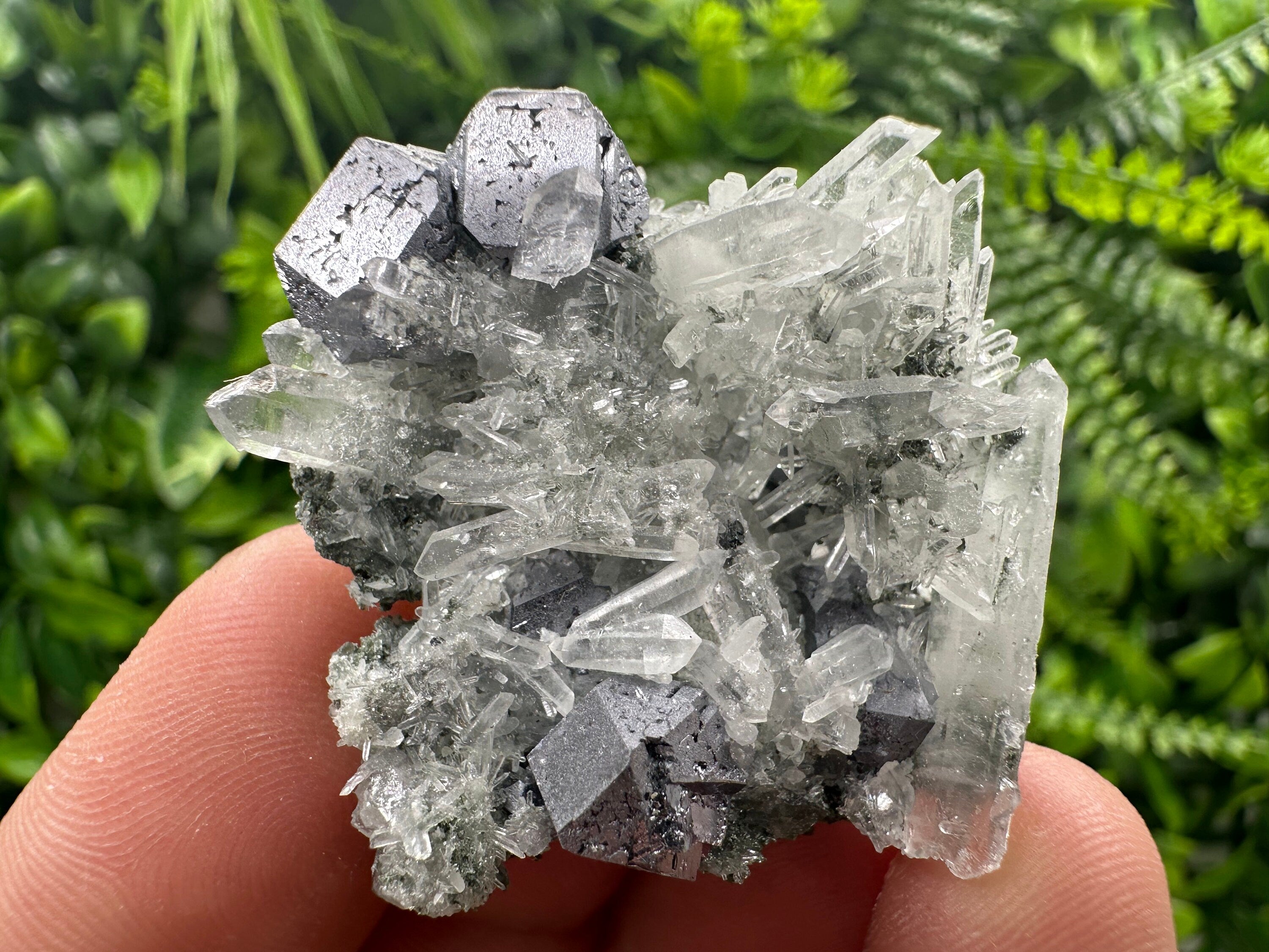 Galena on Green Quartz with Chlorite, Borieva Mine Mineral Specimen