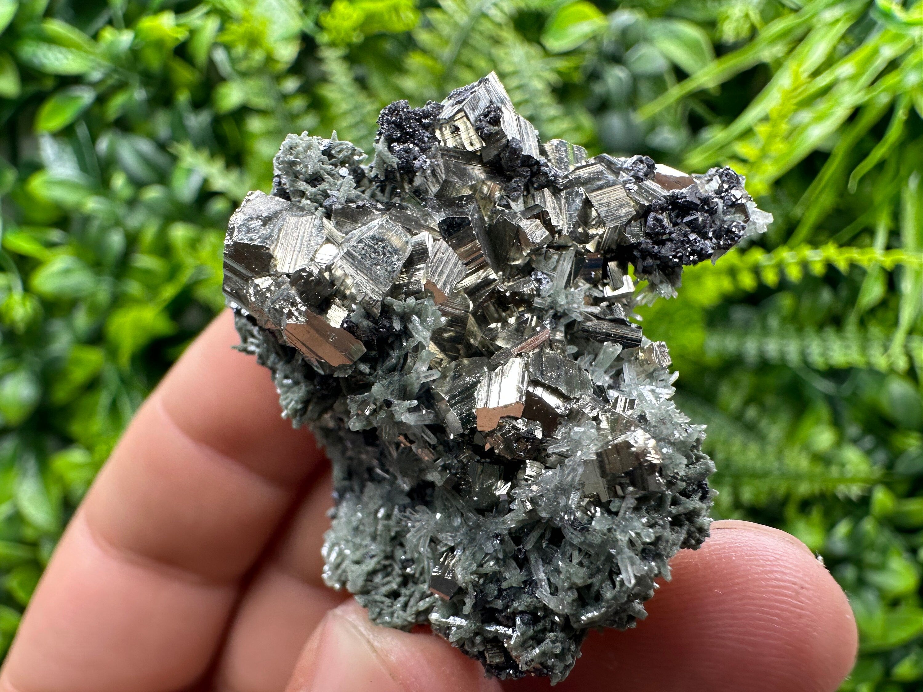 Crystallized Pyrite on Green Quartz: Borieva Mine, Bulgaria