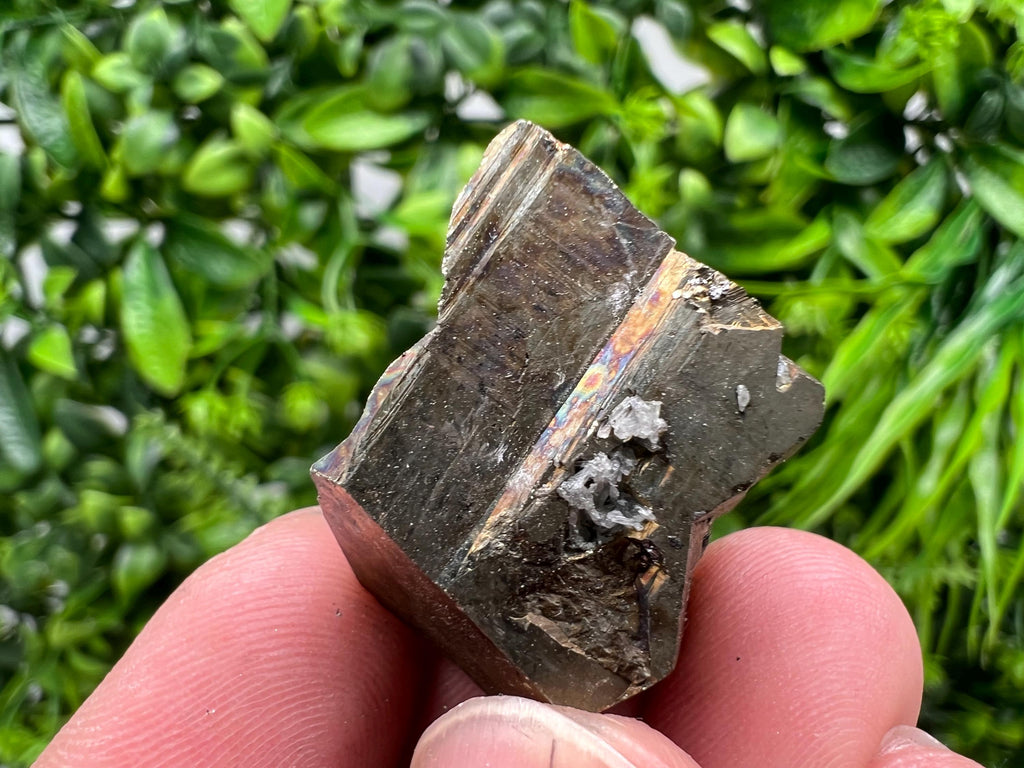 Mini Rainbow Pyrite Cluster, Borieva Mine, Bulgaria