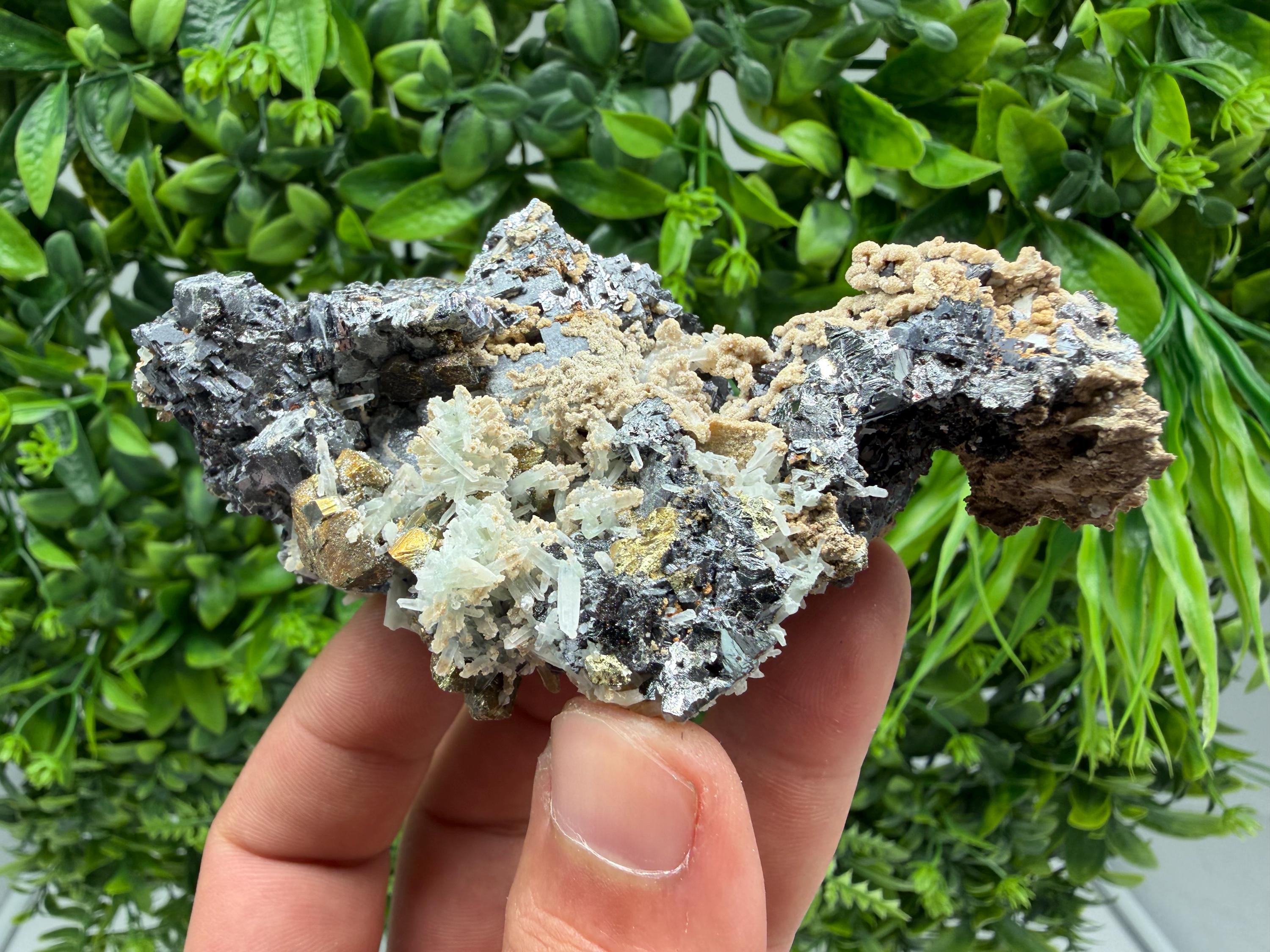 Wonderful Sphalerite Chalcopyrite on  Quartz whit Galena feom 9 th September mine,Bulgaria,natural,collection mineral specimen,gift
