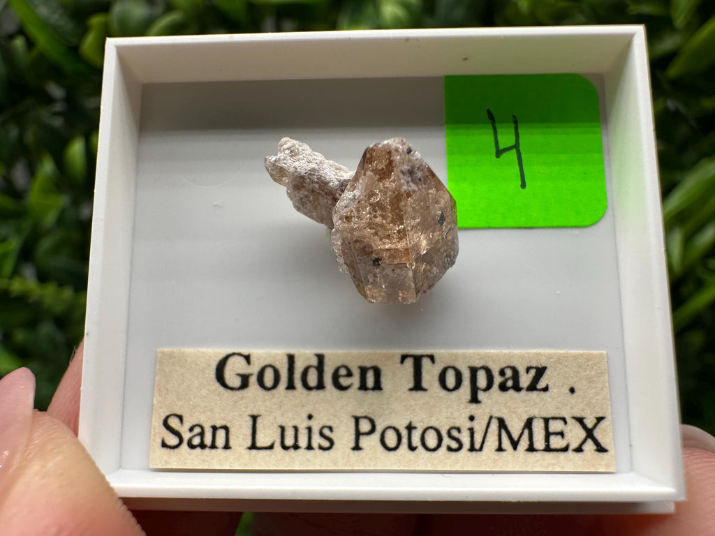 Golden Topaz Crystal, Mineral Specimen from Mexico