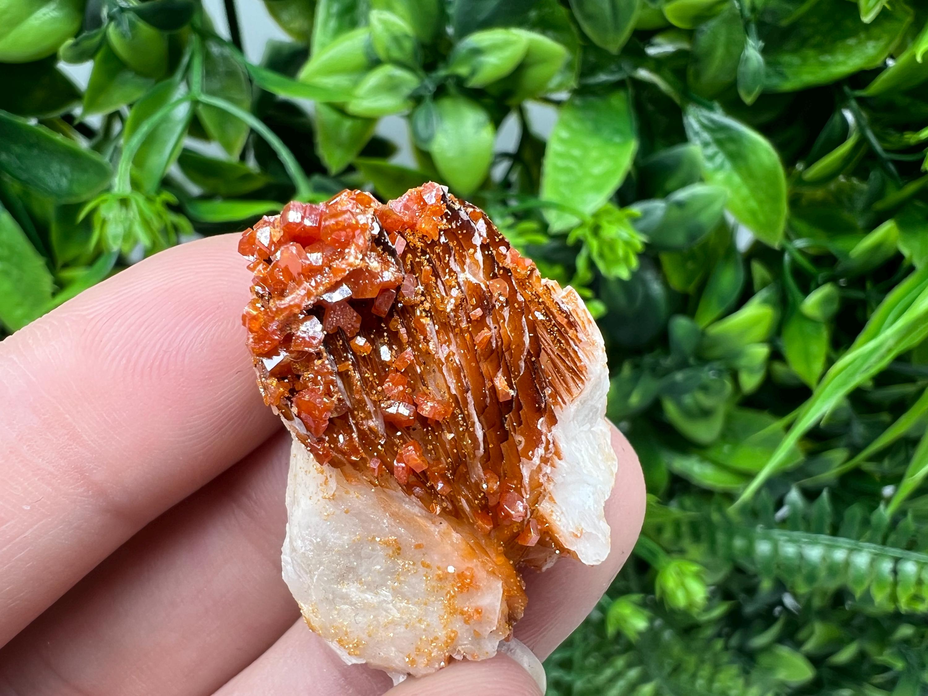 Red Vanadinite on Barite from Marocco,crystal minerals Speciment cluster Vanadinite crystal Vanadinite Geology Vanadinite cluster minerals