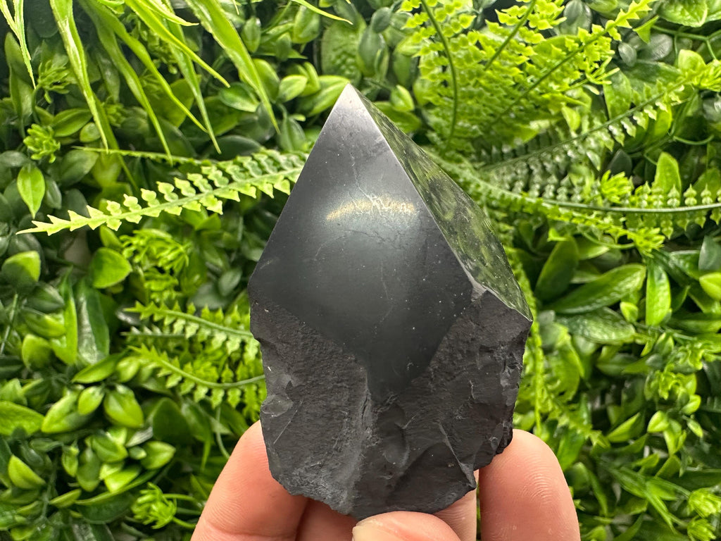 Polished Shungite Crystal: EMF Protection Stone (5cm)
