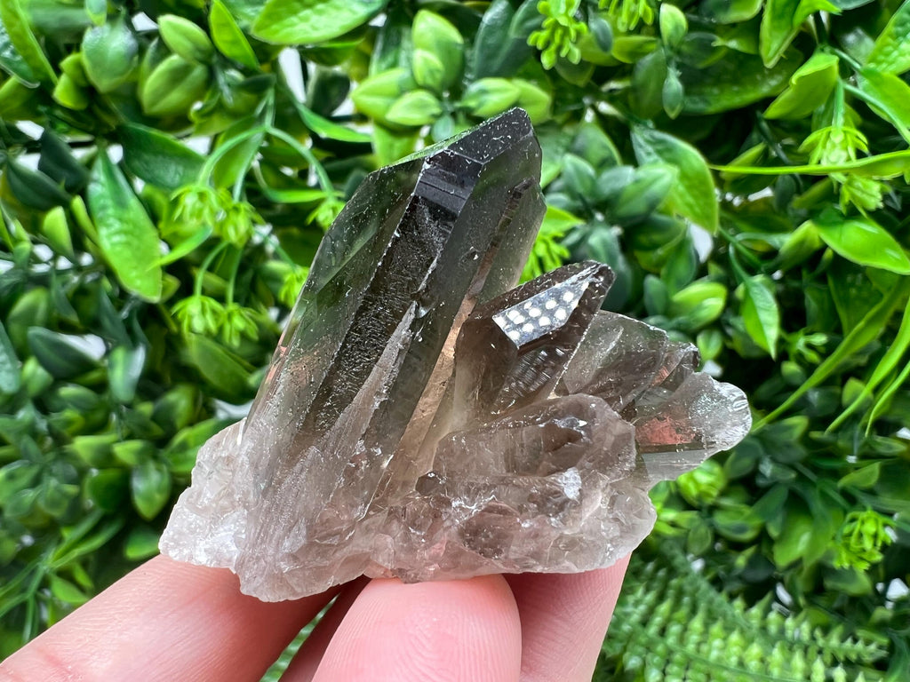 Rare Smoky Quartz,mineral specimen,collection crystal,minerals,Smoky Quartz crystal,from BRAZIL,rare Smoky Quartz,home decor,wholesale,cls