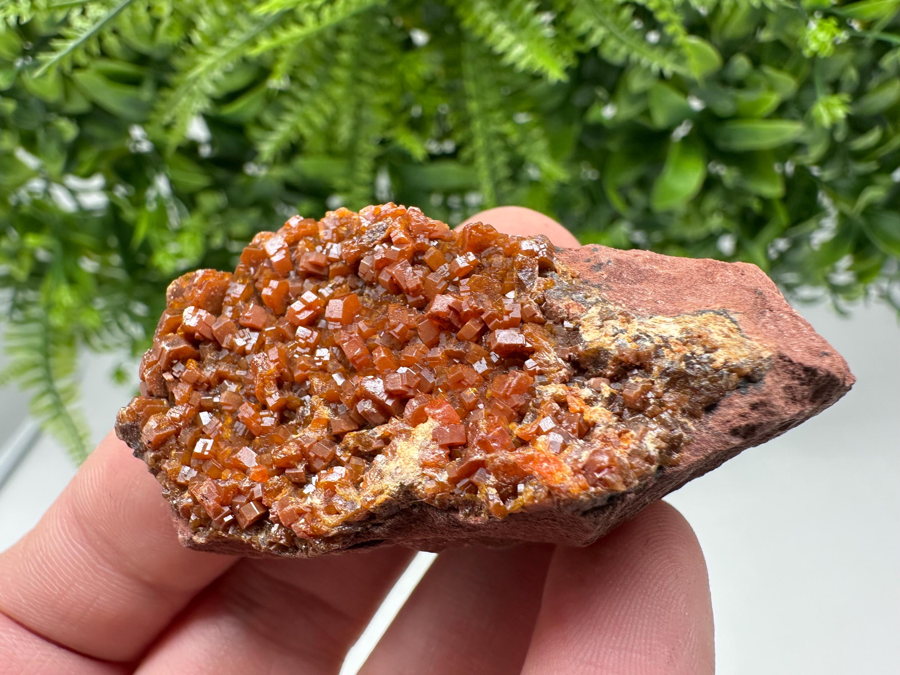 Red Vanadinite on Matrix from Marocco,crystal minerals Speciment cluster Vanadinite crystal Vanadinite Geology Vanadinite cluster minerals