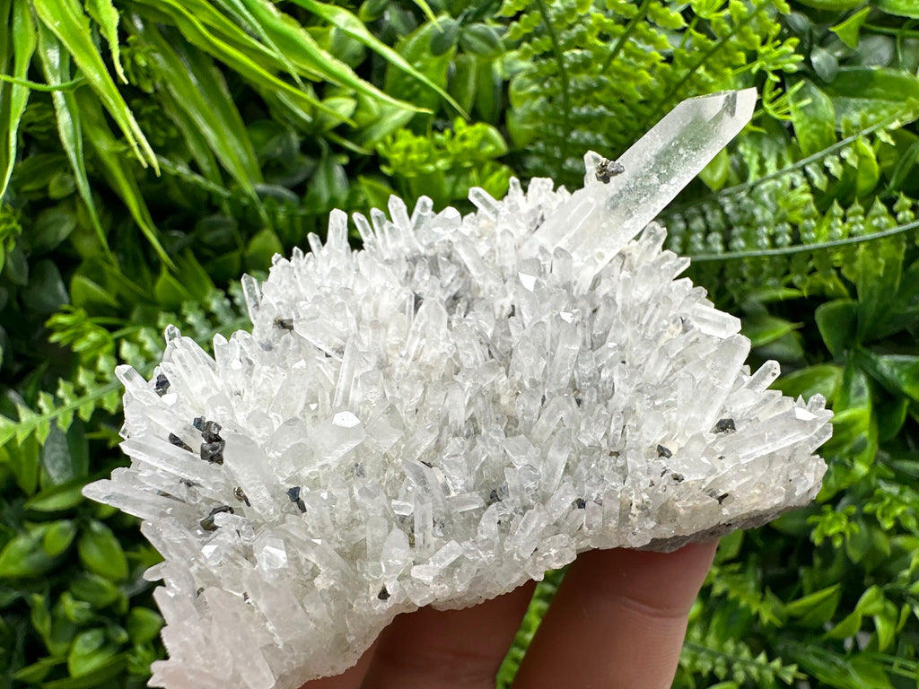 Quartz with Pyrite and Galena, Krushev Dol Mine, Bulgaria