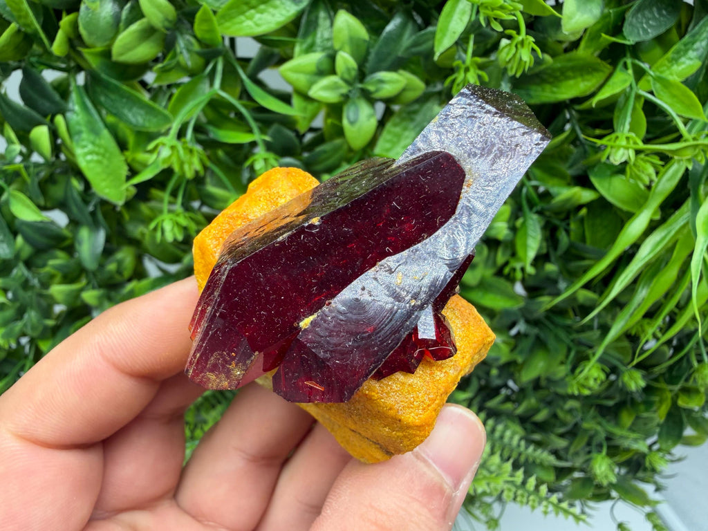XXL Laboratory Pruskite Ruby Crystal on Matrix