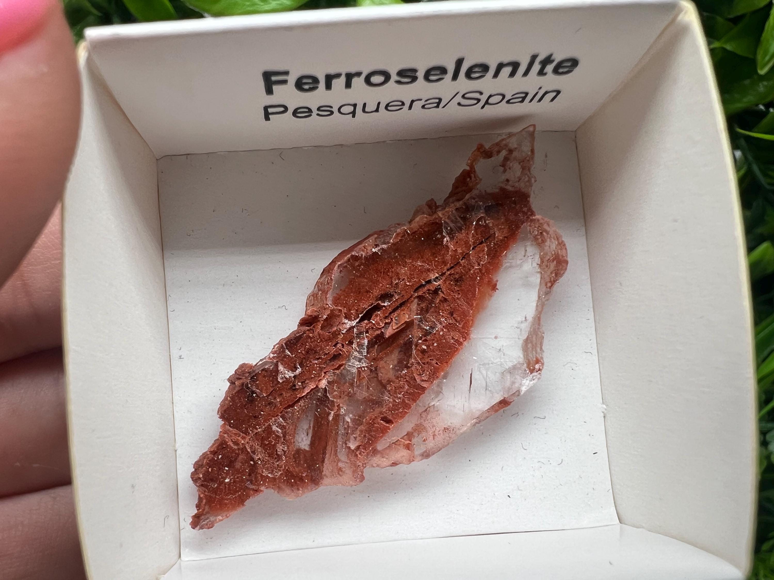 Rare Ferroselenite Specimen: La Pesquera, Spain Mineral (4.5/2.3 cm