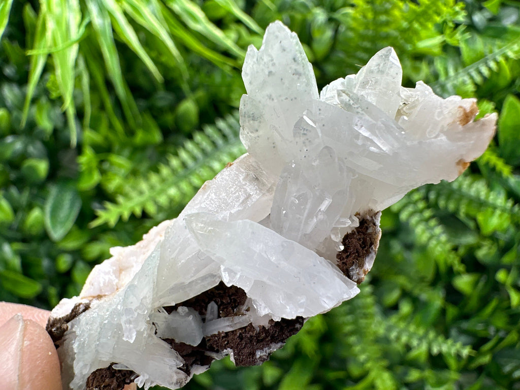 Quartz with Chlorite, Rhodochrosite, and Siderite Mineral Specimen