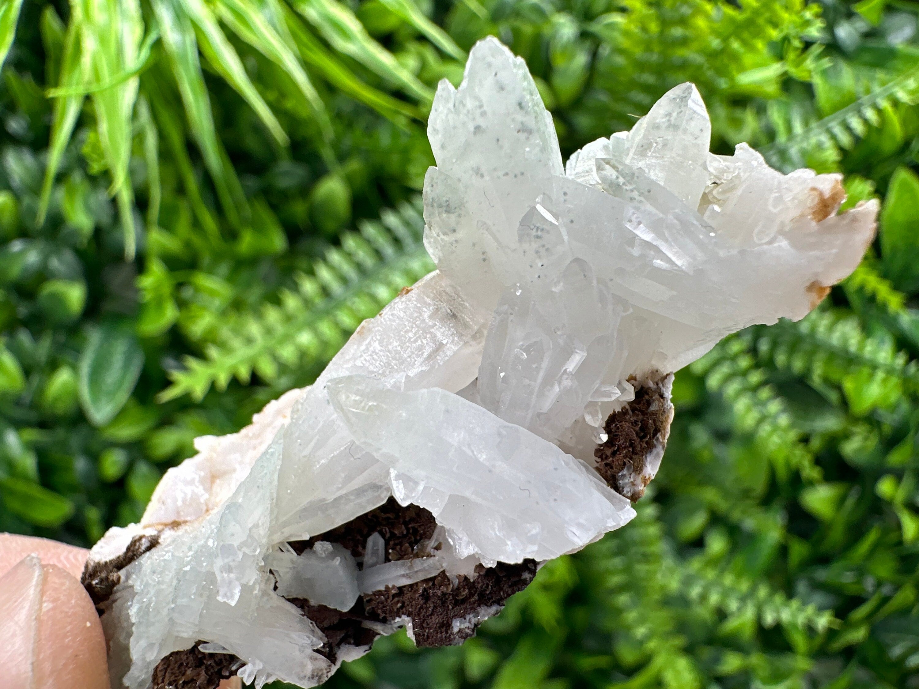 Quartz with Chlorite, Rhodochrosite, and Siderite Mineral Specimen