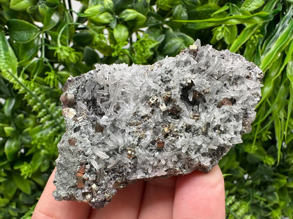 Pyrite on Green Quartz Specimen, Borieva Mine Bulgaria, Home Decor Stone