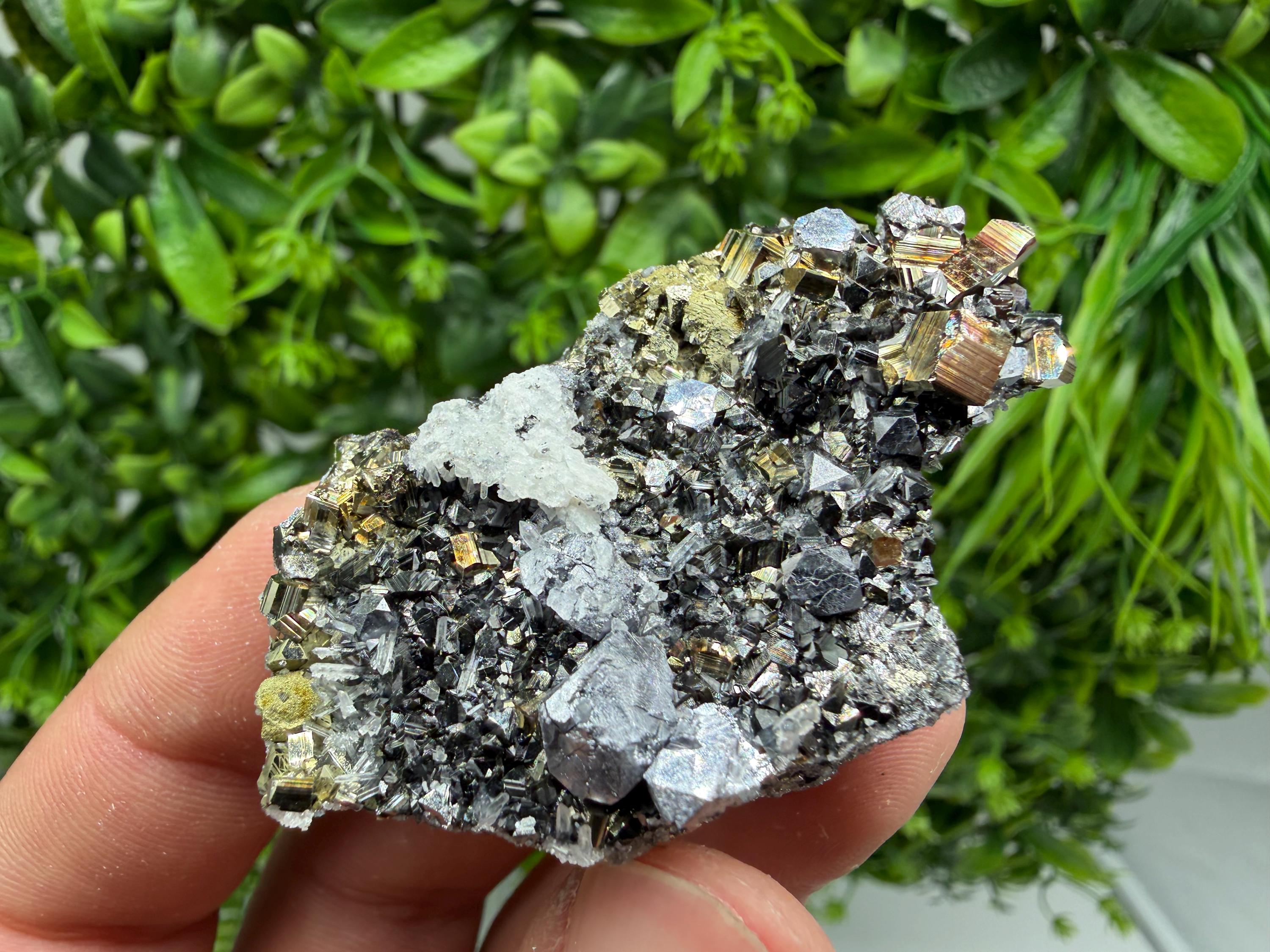 Pyrite Sphalerite Quartz  Mineral Specimen, Krushev dol Mine