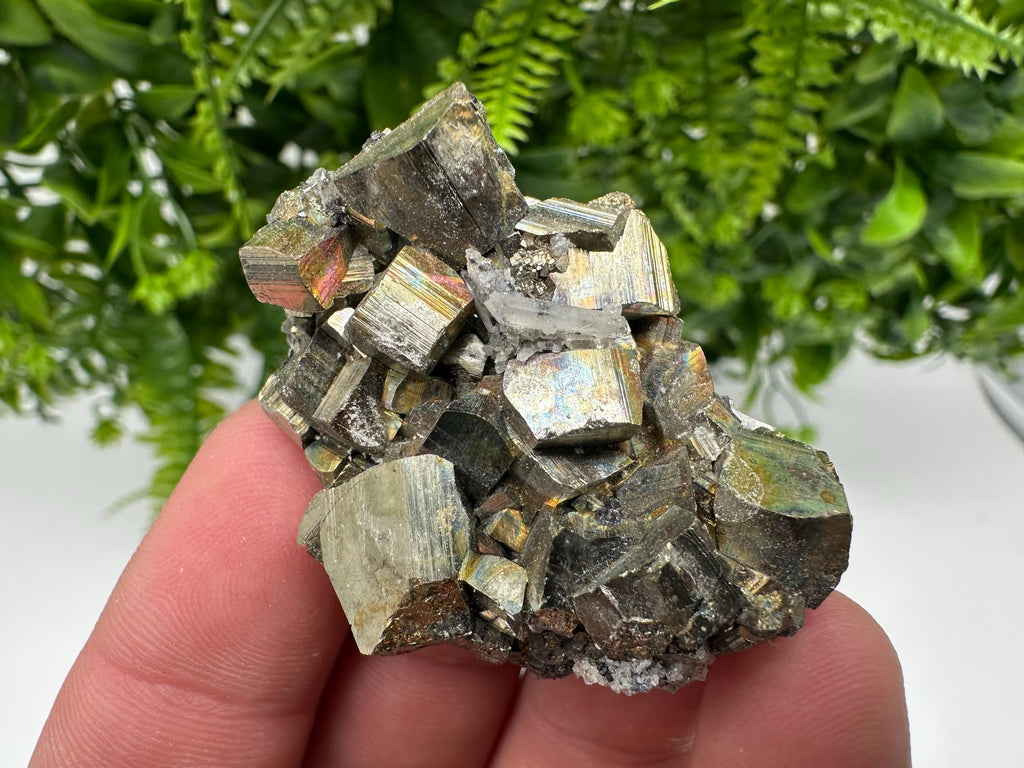 Rare Rainbow Pyrite Cluster: Borieva Mine, Bulgaria