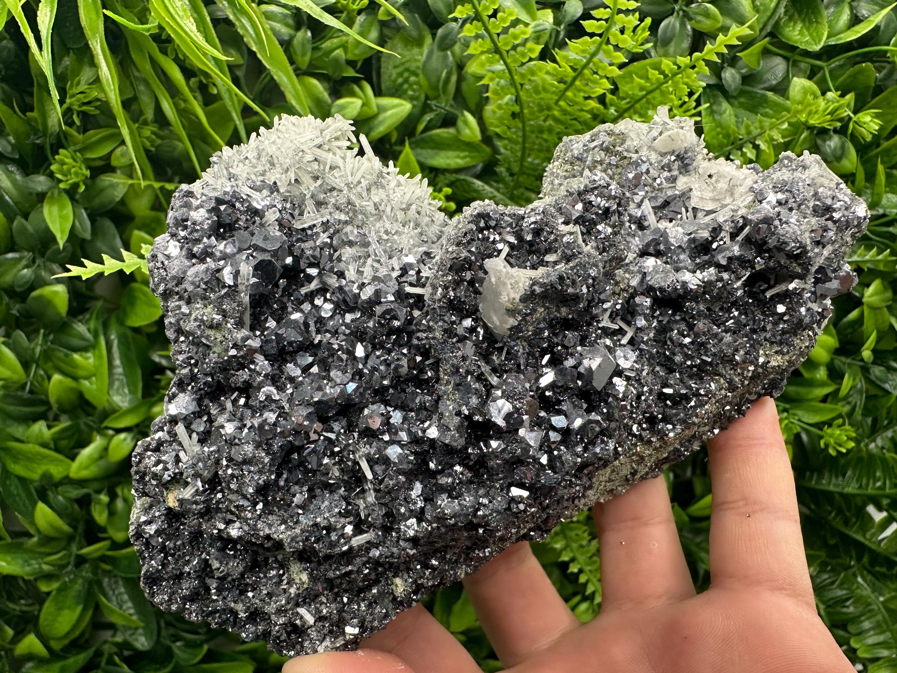 Galena on Sphalerite and Quartz: Borieva Mine, Bulgaria