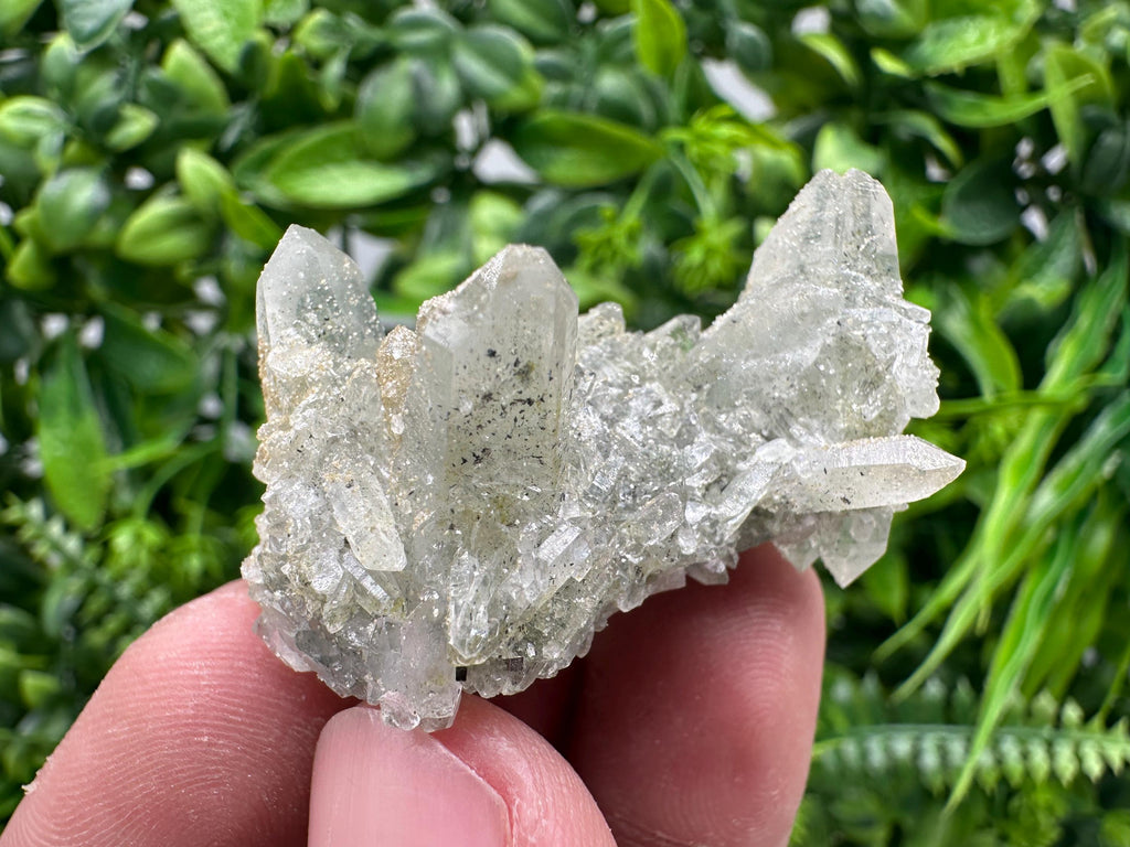 Quartz Rhodochrosite Cluster, Djurcovo Mine, Bulgaria, Mineral Specimen