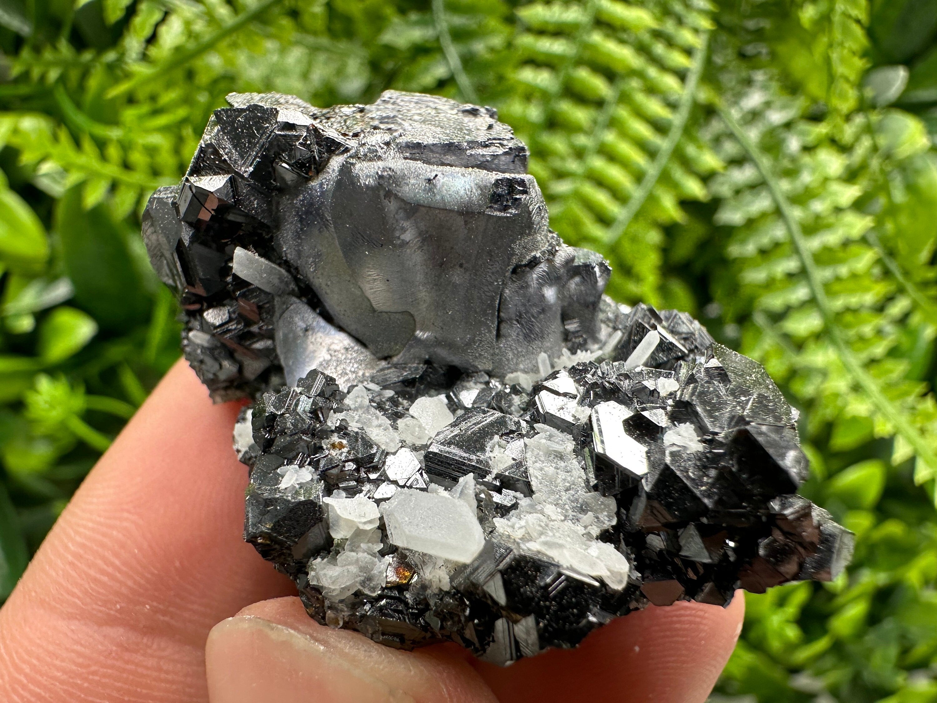 Mirror Galena on Sphalerite with Quartz, Borieva Mine Mineral Specimen