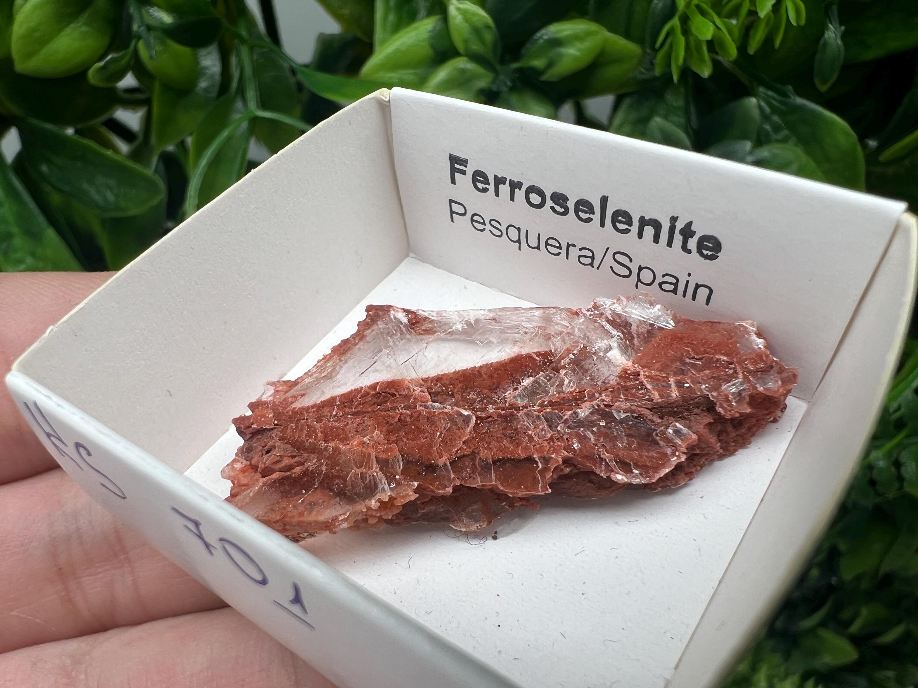 Rare Ferroselenite Crystal Specimen: La Pesquera, Spain (4.5/2.5 cm)