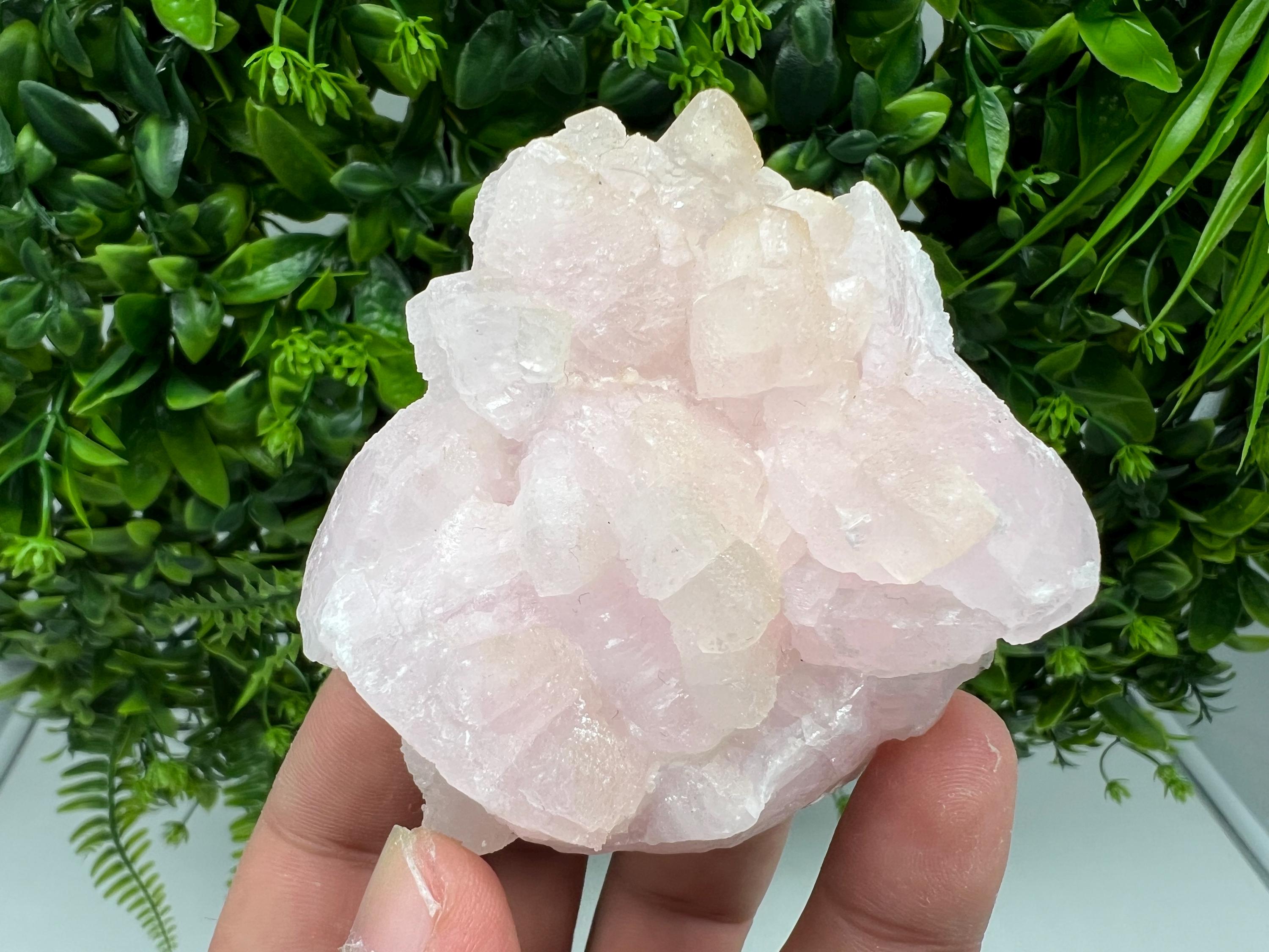 UV Reactive Mangano Calcite Crystal: Androvo Mine, Bulgaria
