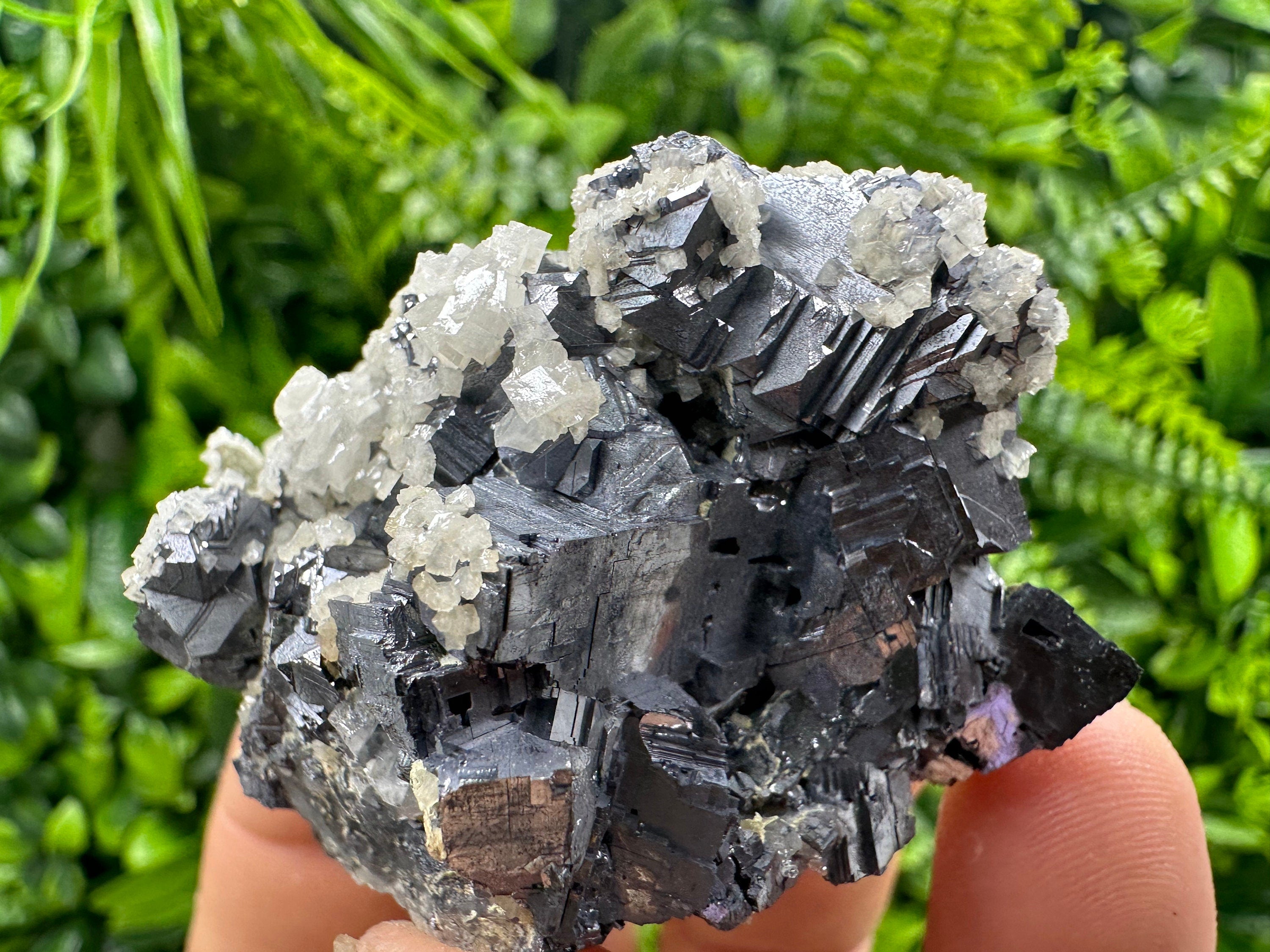 Rare Calcite on Galena: Borieva Mine, Madan, Bulgaria
