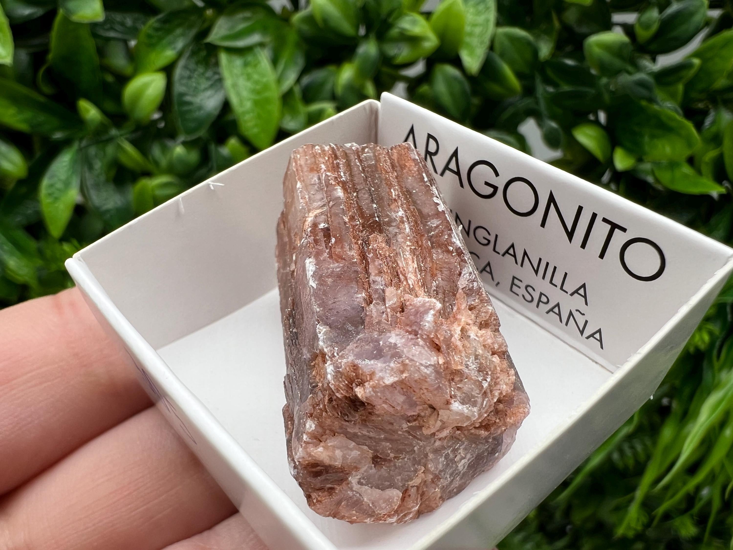 Amazing Aragonite from Spain,Aragonite crystal,cluster,natural,mineral,specimen,Purple Aragonite,Spanish Aragonite,Mineralcollection