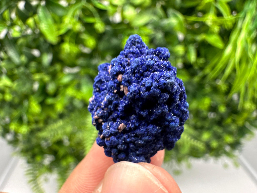 Crystallized Azurite-Kerrouchen,Morocco-Blue Azurite Specimen-High Quality Blue Azurite-Azurite Mineral Specimen, gemmy,lustrous of Azurite