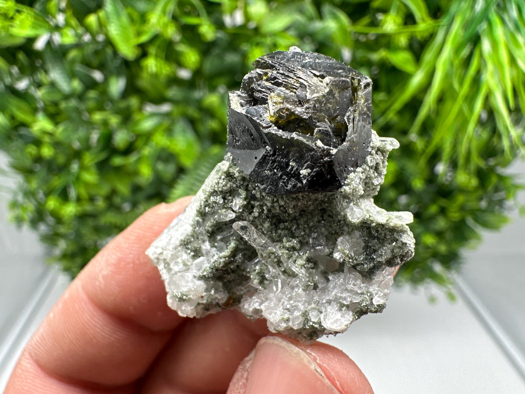 Stunning Sphalerite on  Quarzt from Borieva mine,Madan,Bulgaria,natural,collection mineral specimen,home decor crystal,gift,collection