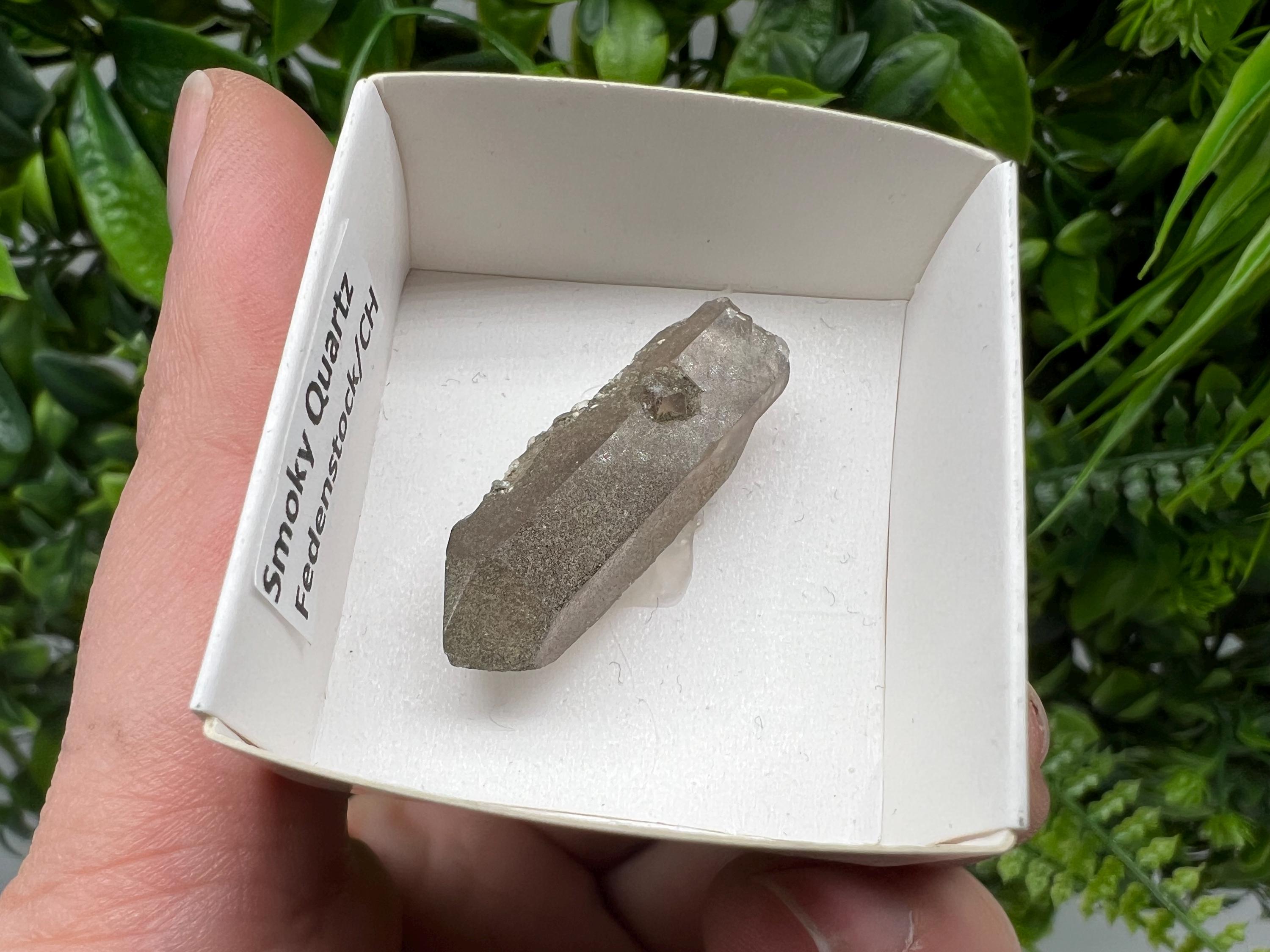 Rare Fedenstock Smoky Quartz Point, Switzerland Mineral Specimen (35MM)