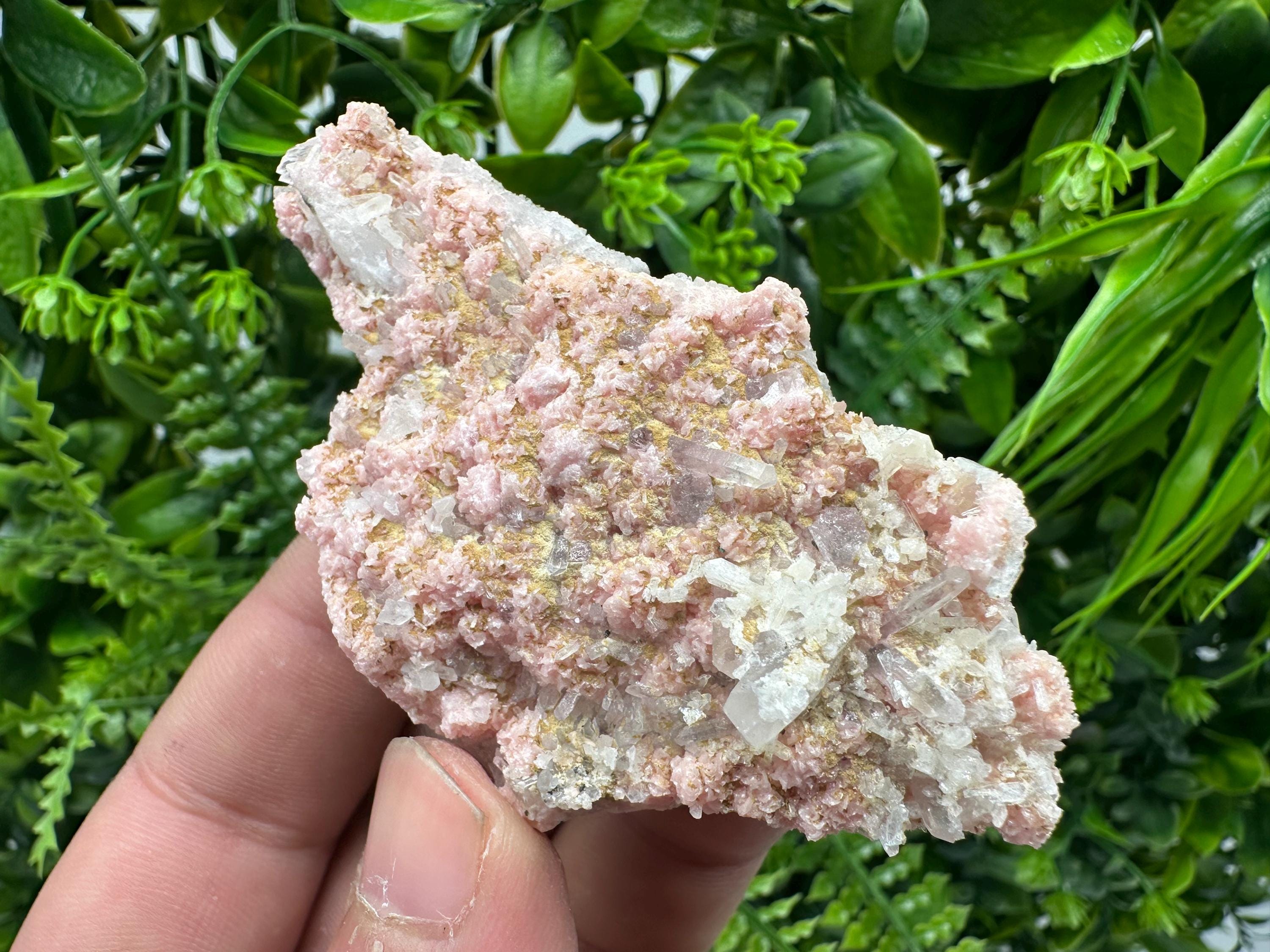 Rhodochrosite on Quartz: Pink Crystal Home Decor, Bulgaria Mineral Souvenir