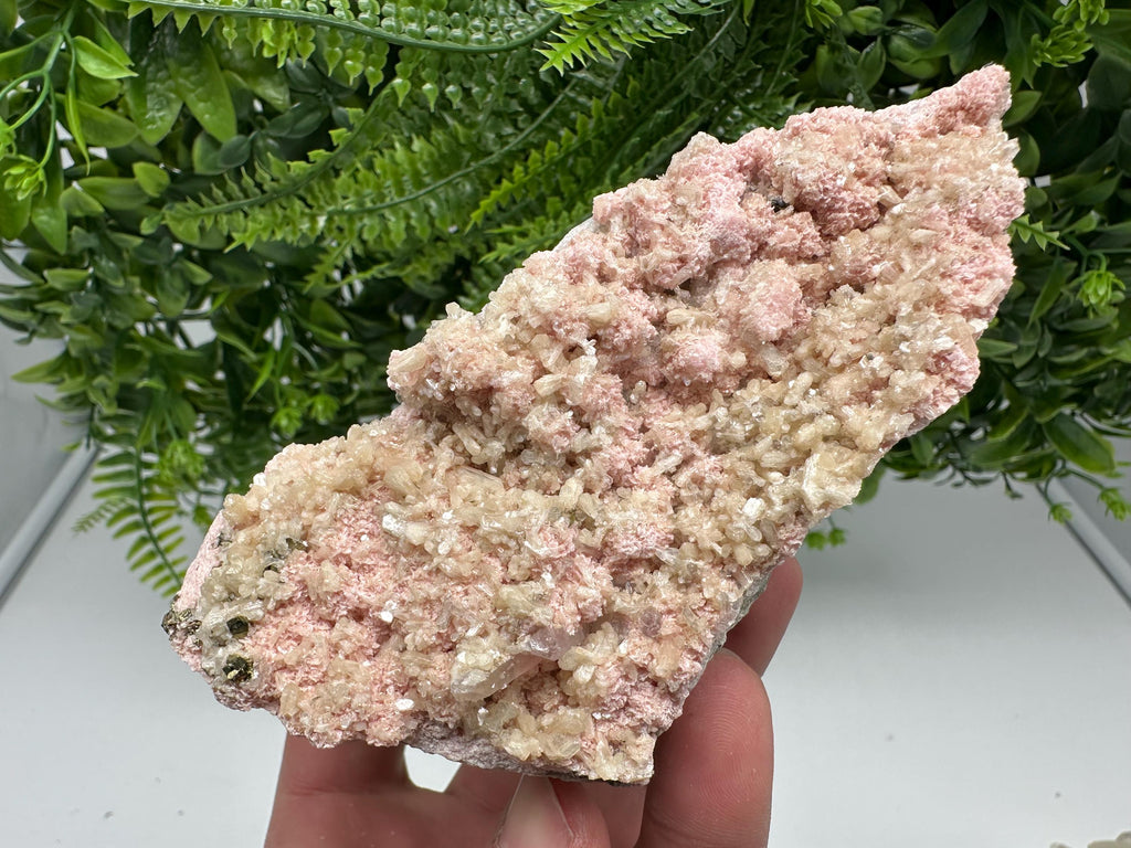 Pink Rhodochrosite Crystal, Starnica Mine, Bulgaria, Mineral Decor