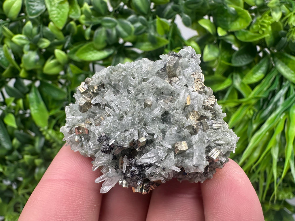 Pyrite on Green Quartz, Bulgaria Mineral Specimen