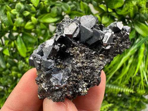 Aesthetic Sphalerite,Galena whit Chlorite from Borieva mine Madan Bulgaria natural minerals souvenir crystal gift home decor stone rock