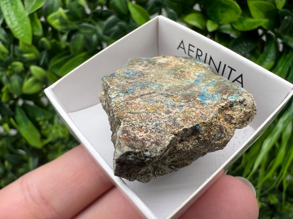 Rare Raw Aerinite Mineral Specimen: Lleida, Spain Collection Crystal