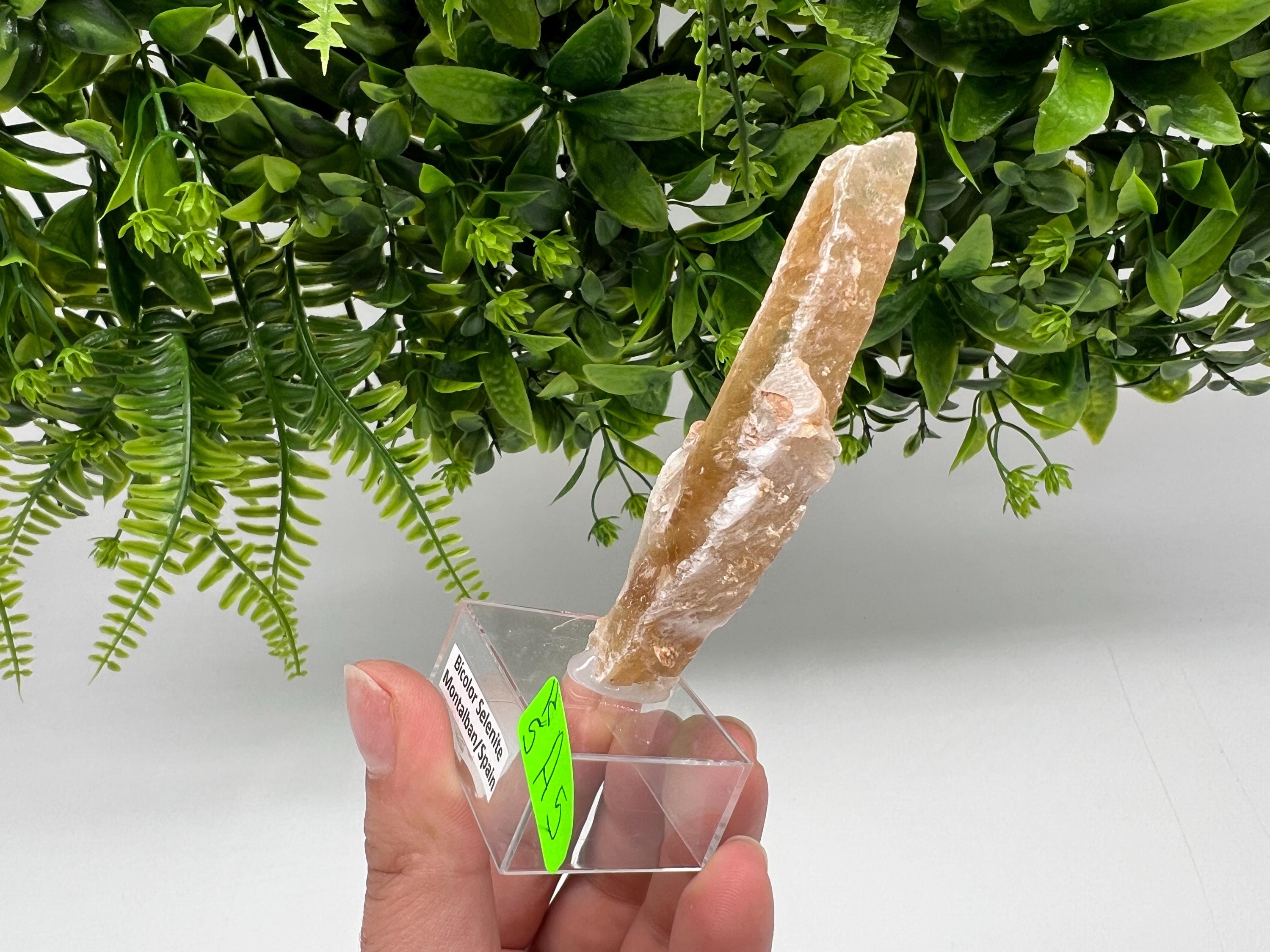 Golden Phantom Selenite Slab: Utah Raw Crystal Wand