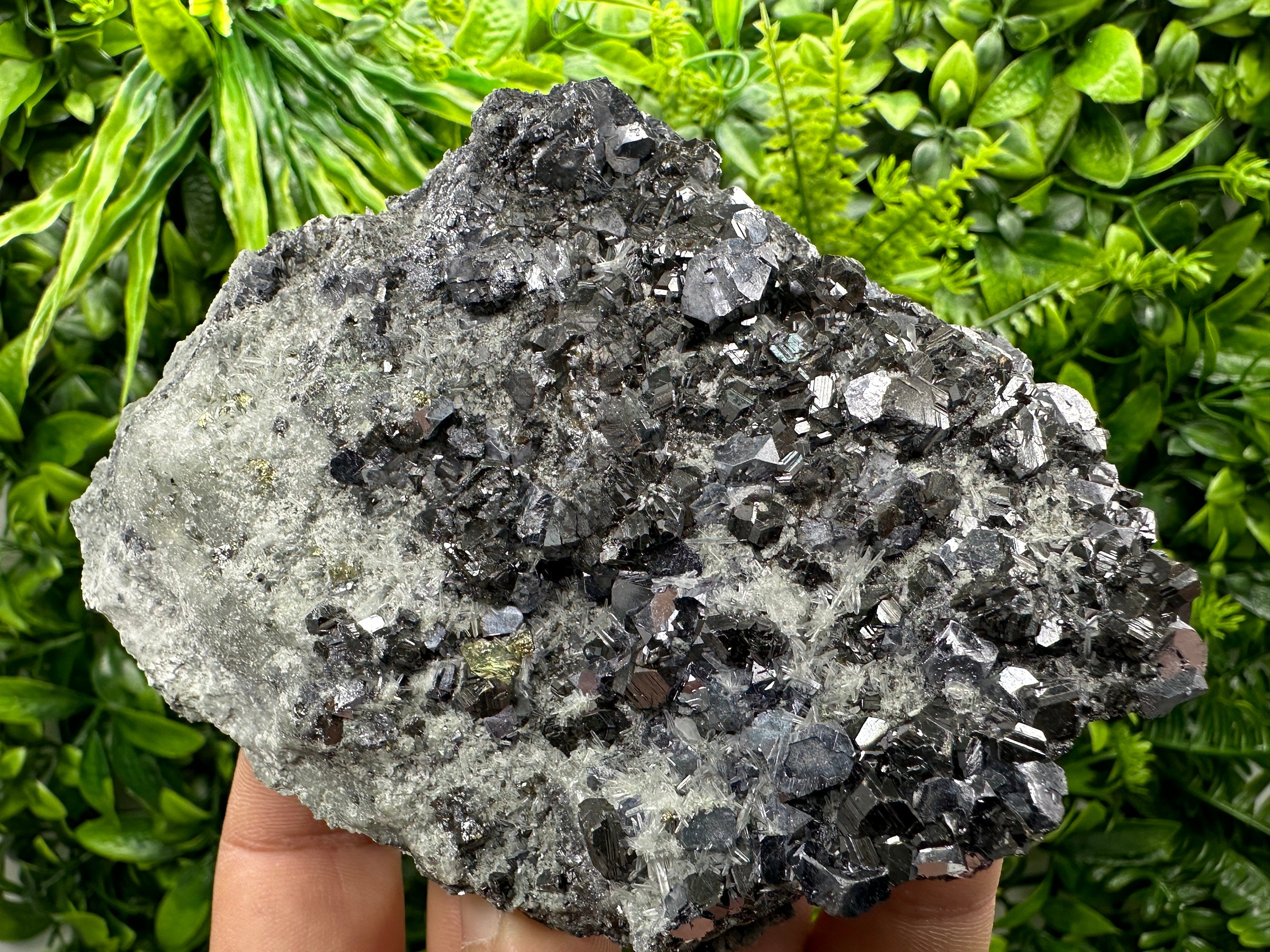 Sphalerite Galena Calcopyrite on Quartz, Borieva Bulgaria Mineral Specimen