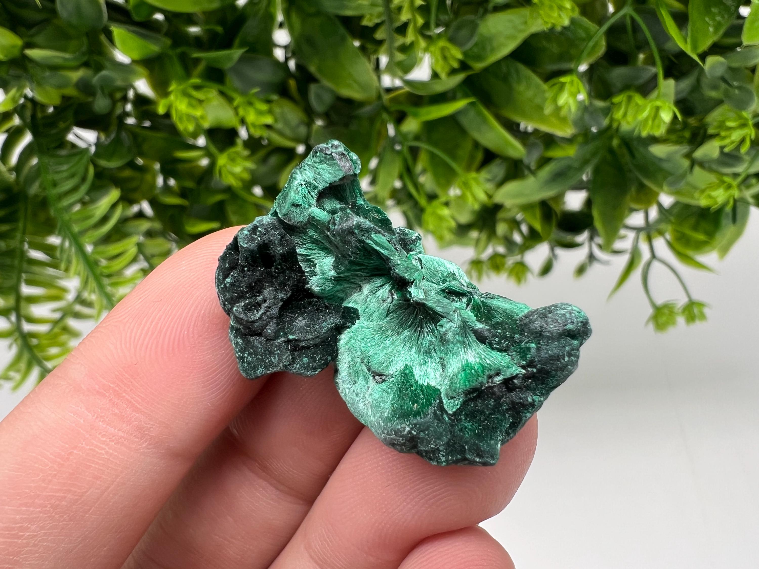 Malachite Crystal from Congo,Minerals,Crystals from Congo,Green Malachite, Malachite,Natural Malachite,Malachite Stone,Chakra, Specimens