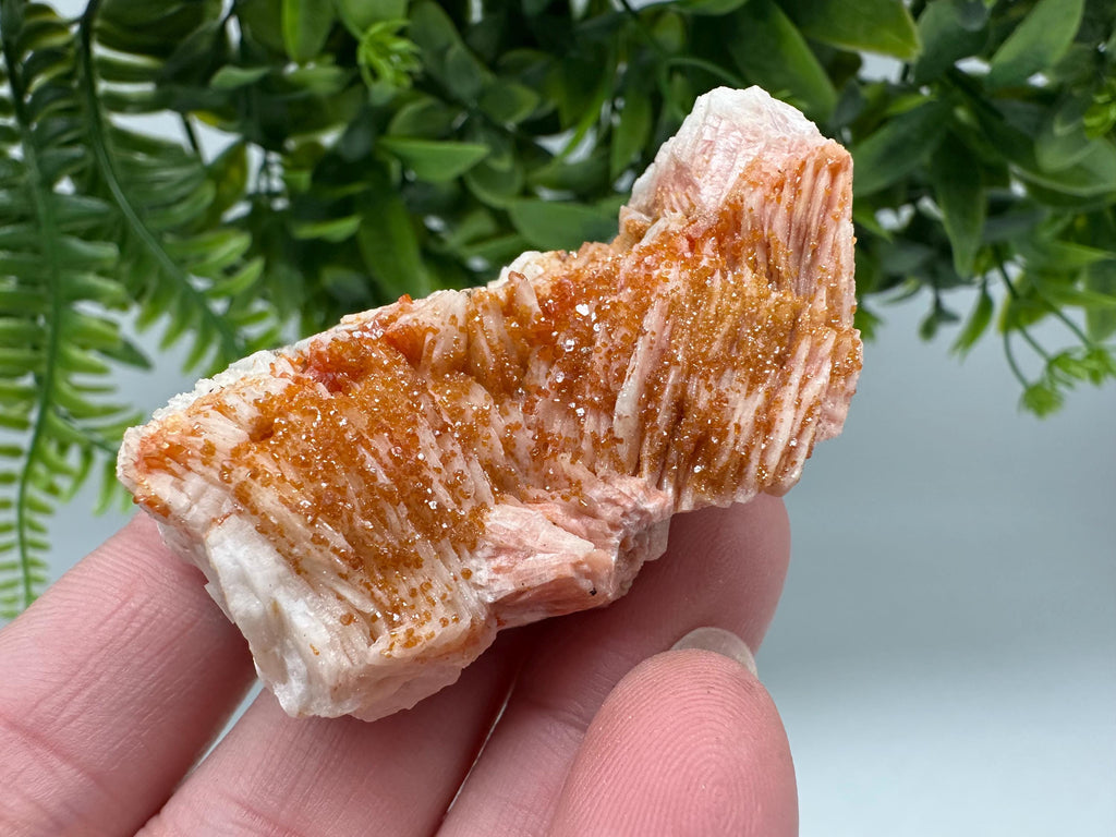Red Vanadinite on Barite from Marocco,crystal minerals Speciment cluster Vanadinite crystal Vanadinite Geology Vanadinite cluster minerals