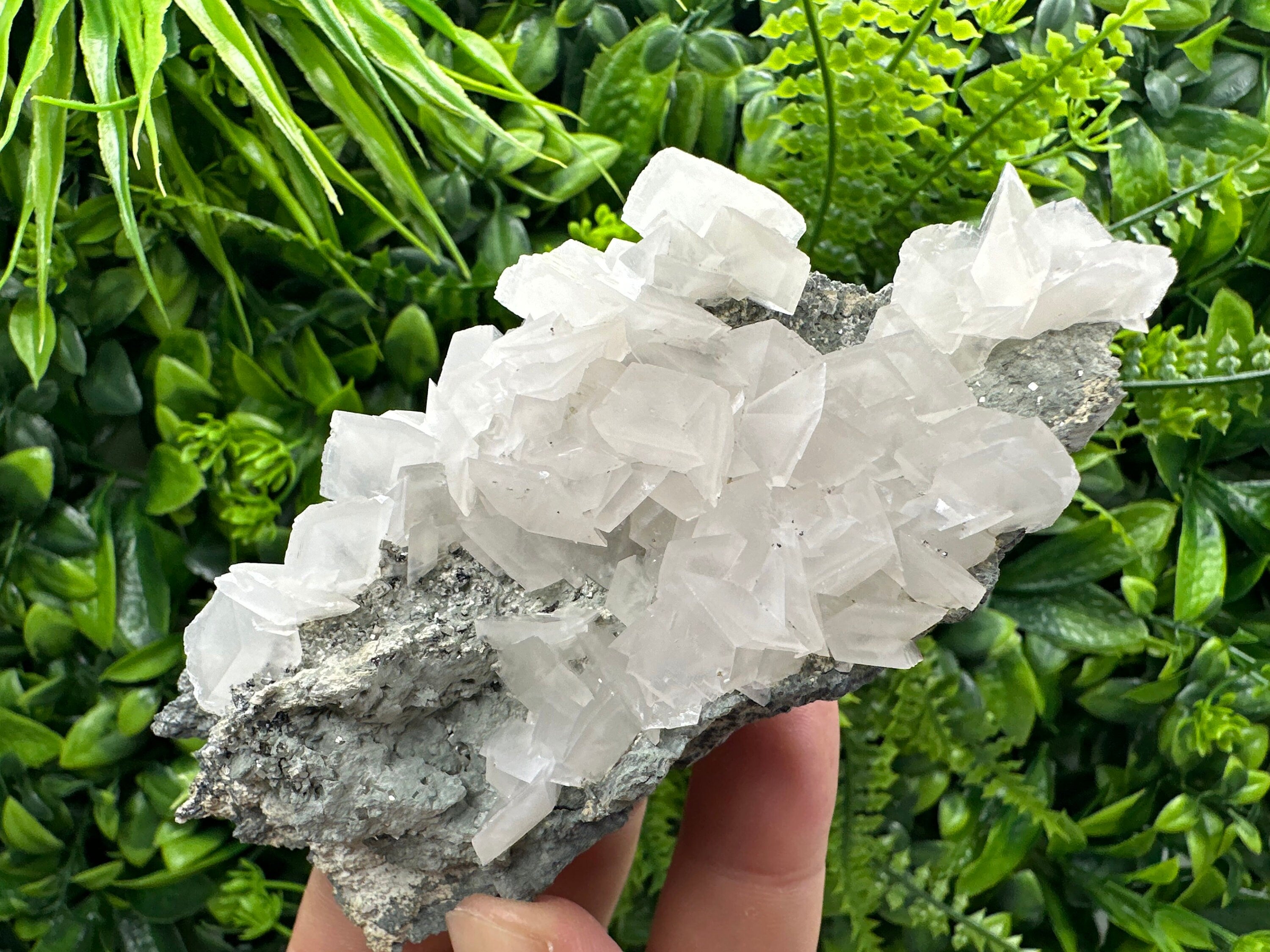 Borieva Mine Pyrite Calcite Cluster on Matrix: Bulgaria Home Decor Stone