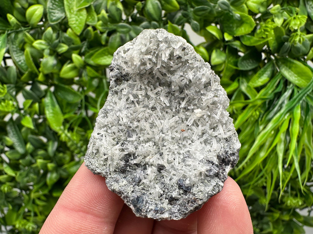 Pyrite on Green Quartz Specimen: Borieva Mine Mineral Decor