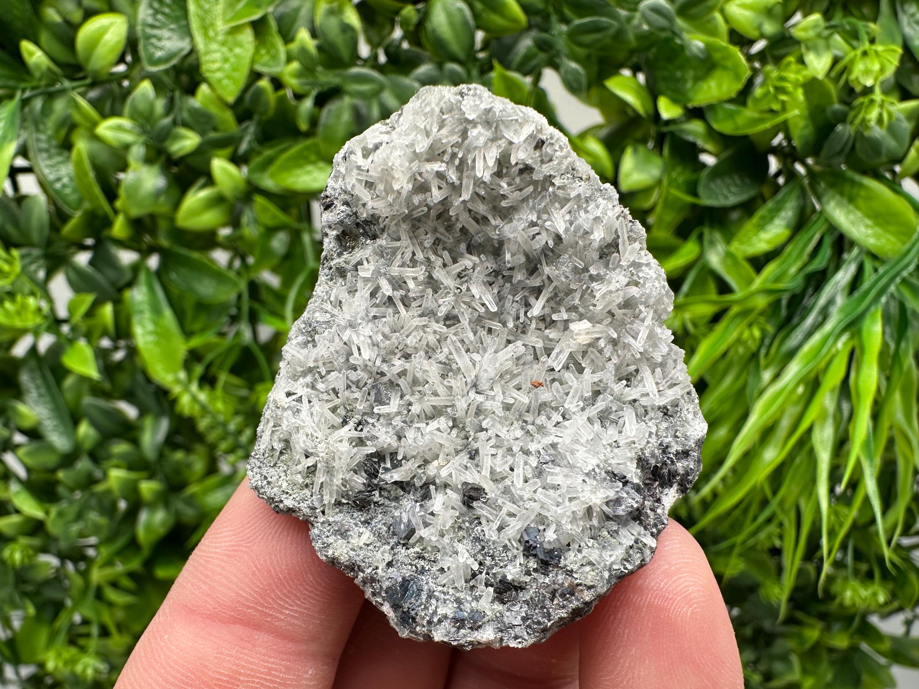 Pyrite on Green Quartz Specimen: Borieva Mine Mineral Decor