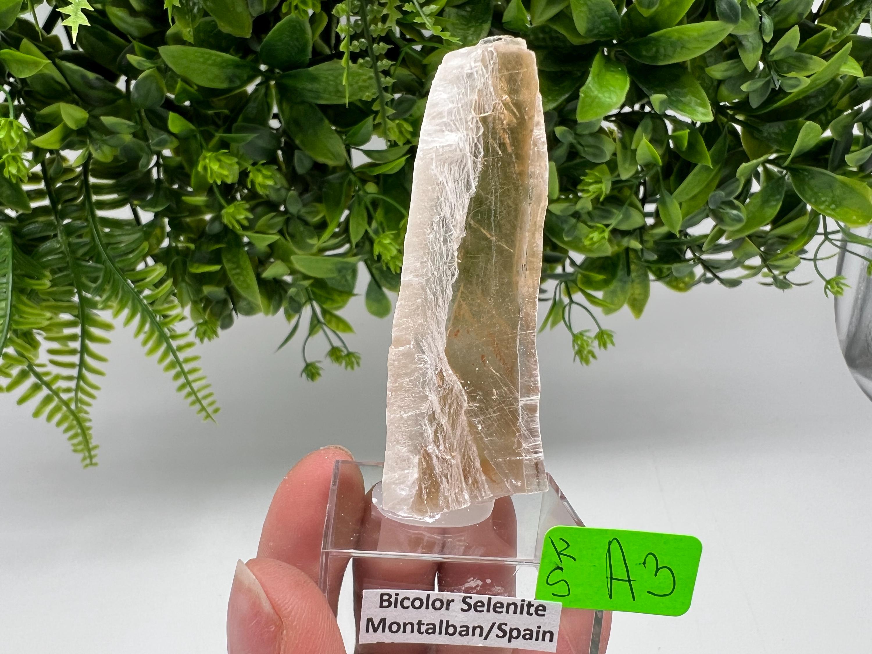 Golden Phantom Selenite Slab: Utah Raw Fishtail Selenite Wand