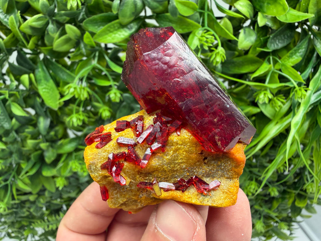 XXL Laboratory Pruskite Ruby Crystal on Matrix