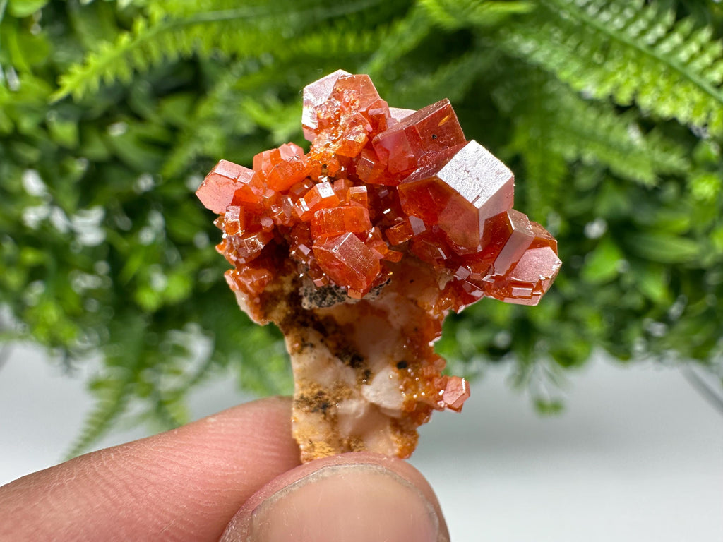 Red Vanadinite on Barite from Marocco,crystal minerals Speciment cluster Vanadinite crystal Vanadinite Geology Vanadinite cluster minerals