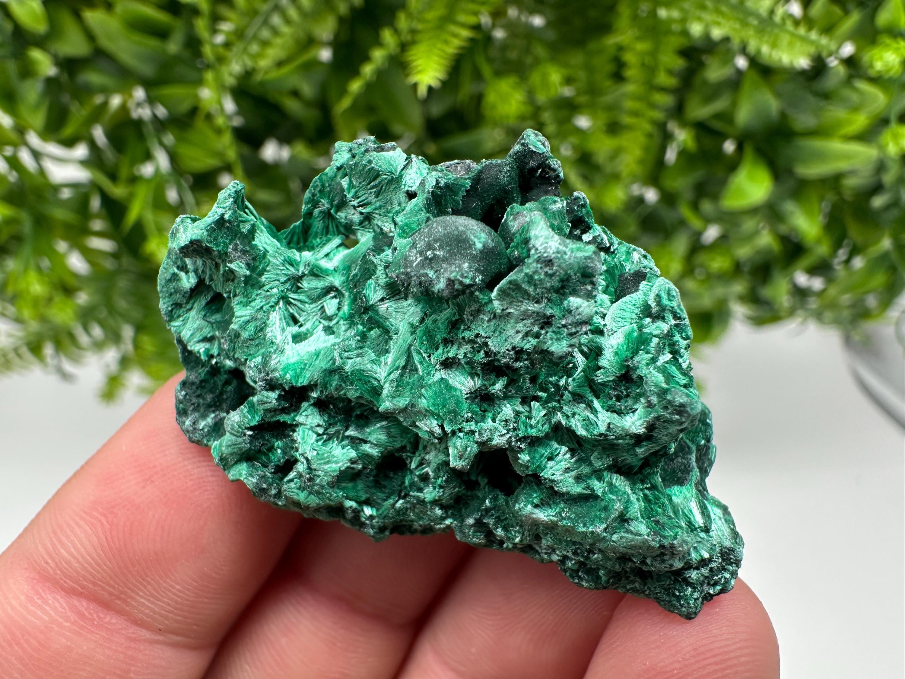 Malachite Crystal from Congo,Minerals,Crystals from Congo,Green Malachite, Malachite,Natural Malachite,Malachite Stone,Chakra, Specimens