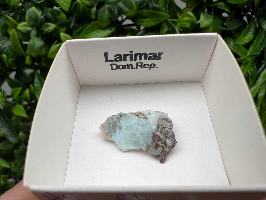 Rare Raw Larimar Specimen: Dominican Republic Crystal (25/15mm)